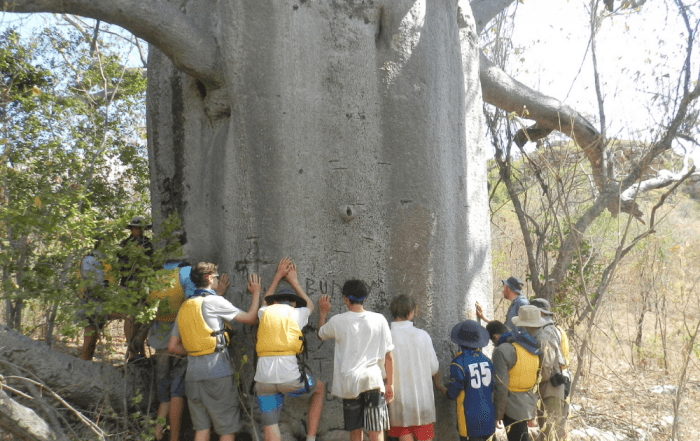 Students standing at the base of a large tree with their arms outstretched touching the tree