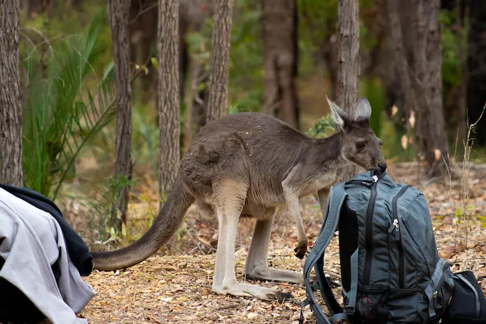 Connection to nature Connection to nature