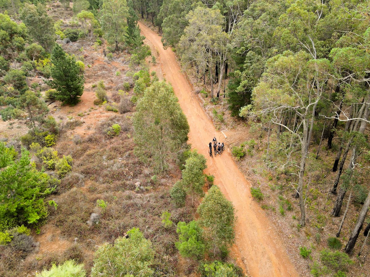 Young people walking in nature