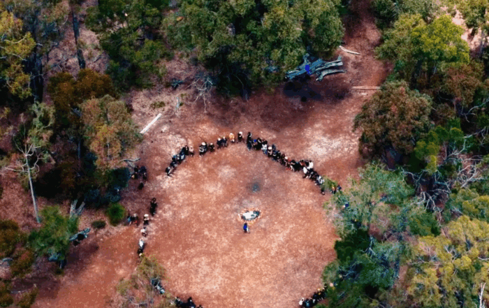 A birdside view of students standing in a circle outdoors in nature.